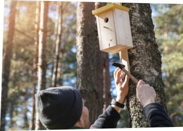 Werky Produkte handgemacht für den Herbst aus Behindertenwerkstatt. Nisthilfen und Vogelhäuser